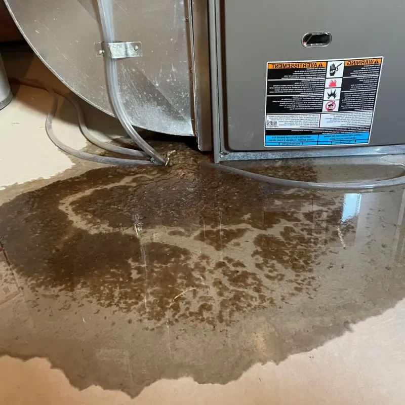 Pipe Burst and Leak Restoration in Lisbon, ME