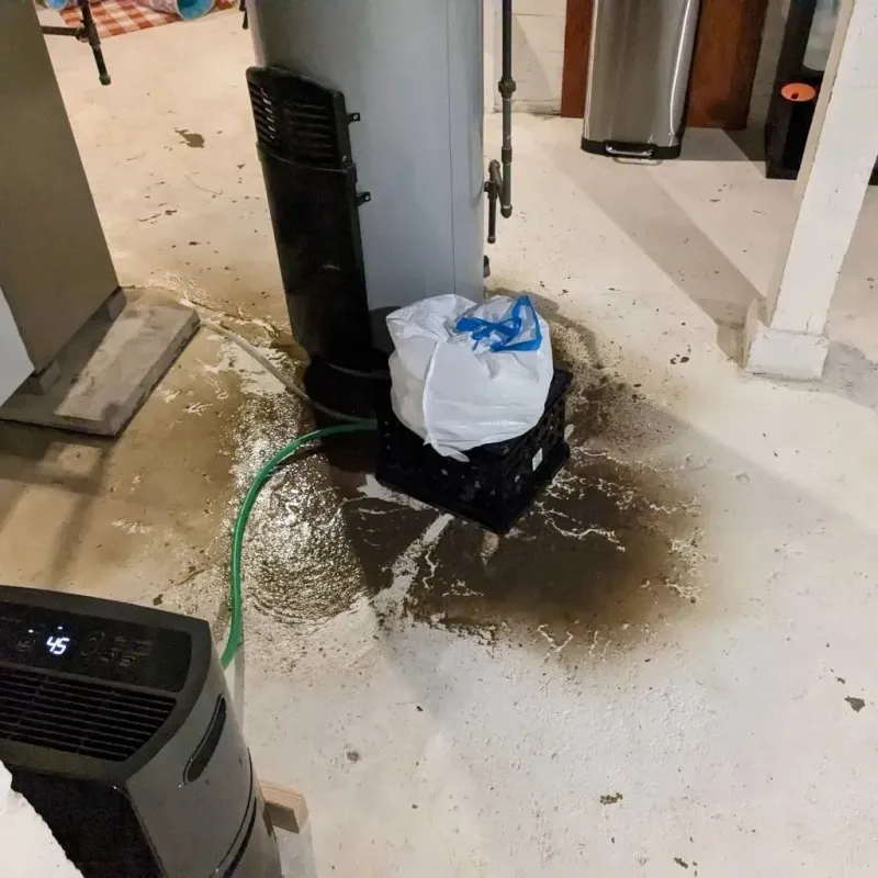Sewage Backup Cleanup Service in Lisbon, ME